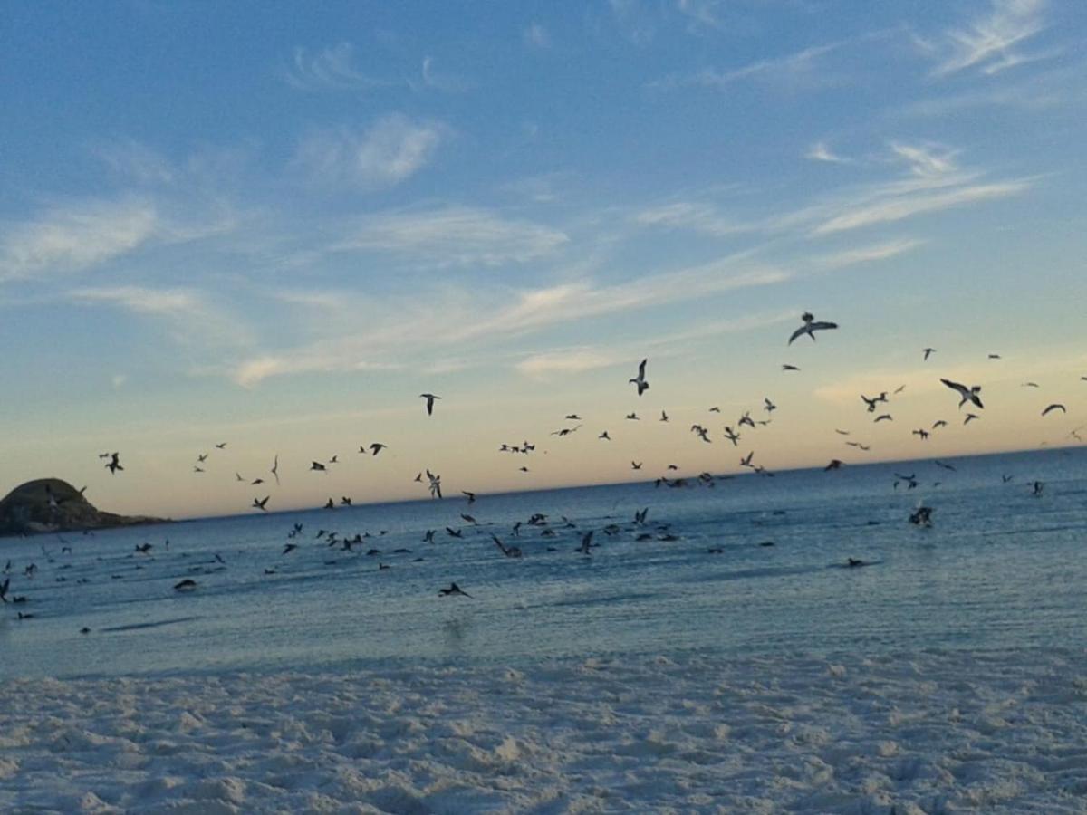 De Frente Para O Caribe Brasileiro. Arraial do Cabo Zewnętrze zdjęcie